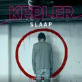 Omslag van Slaap