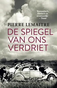 Omslag van De spiegel van ons verdriet