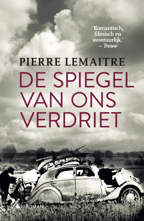 Omslag van De spiegel van ons verdriet