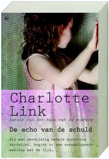 Omslag van De echo van de schuld