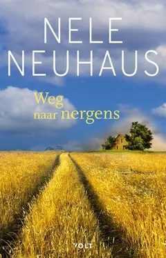 Omslag van Weg naar nergens