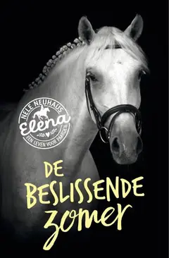 Omslag van De beslissende zomer