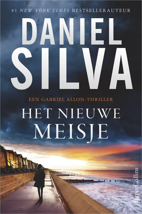 Omslag van Het nieuwe meisje