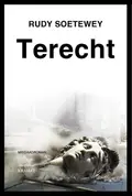 Omslag van Terecht