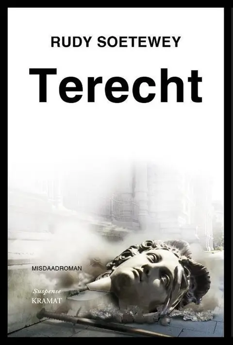 Omslag van Terecht