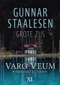 Omslag van Grote zus