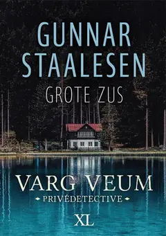 Omslag van Grote zus