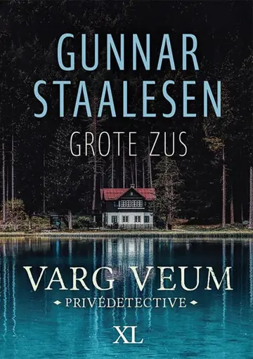 Omslag van Grote zus