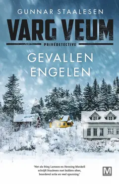 Omslag van Gevallen engelen