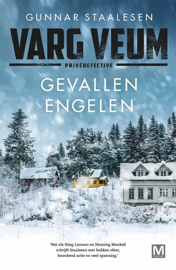 Omslag van Gevallen engelen