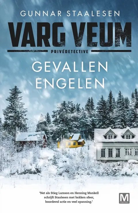Omslag van Gevallen engelen