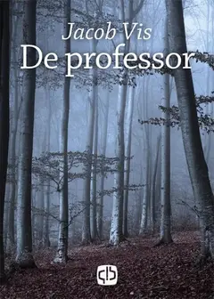 Omslag van De professor