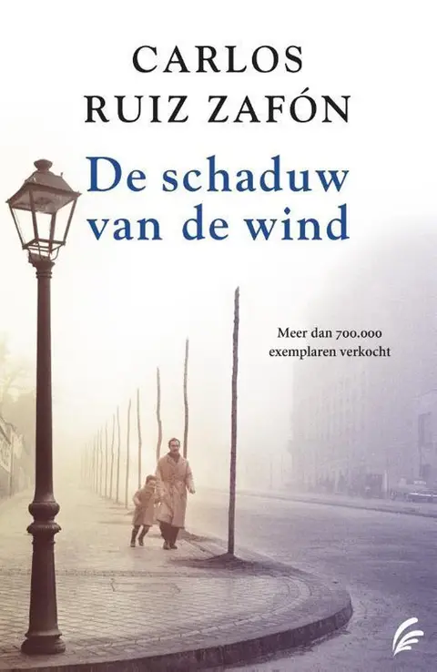Omslag van De schaduw van de wind