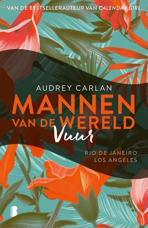 Omslag van Vuur