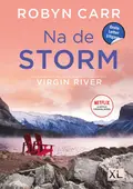 Omslag van Na de storm