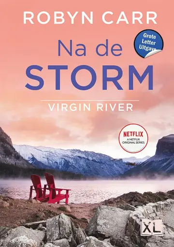 Omslag van Na de storm
