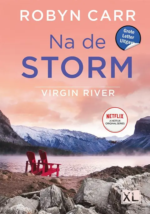 Omslag van Na de storm