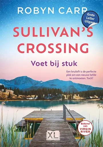 Omslag van Voet bij stuk