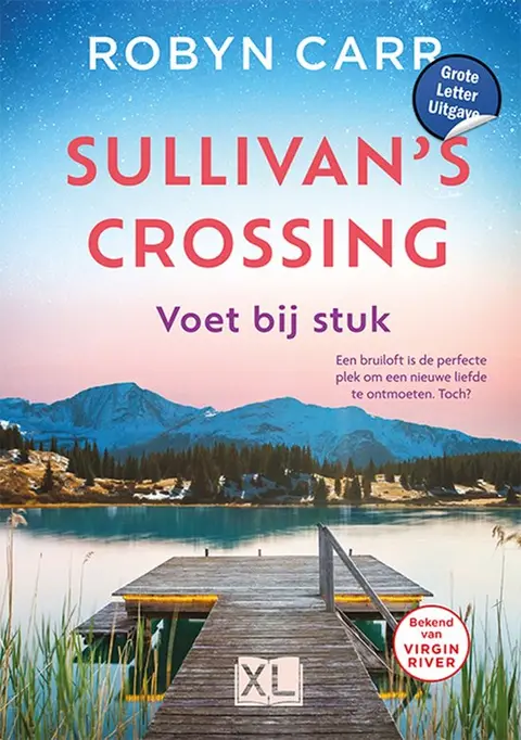 Omslag van Voet bij stuk