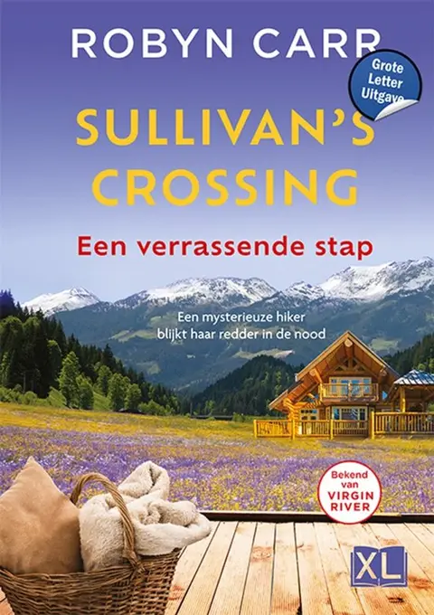 Omslag van Een verrassende stap