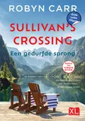 Omslag van Een gedurfde sprong