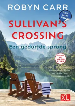 Omslag van Een gedurfde sprong