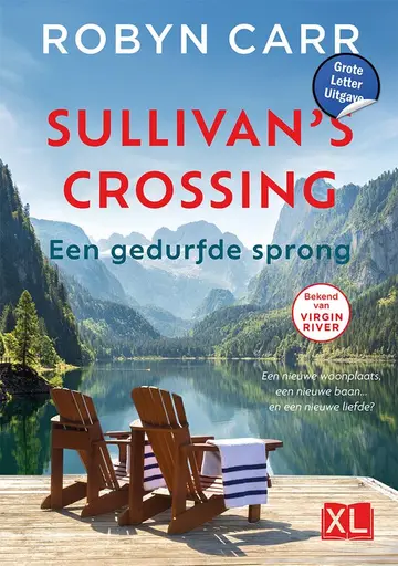 Omslag van Een gedurfde sprong
