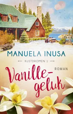 Omslag van Vanillegeluk