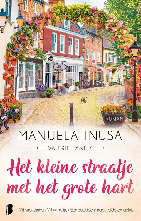 Omslag van Het kleine straatje met het grote hart