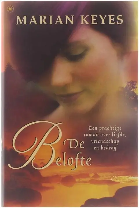 Omslag van De belofte