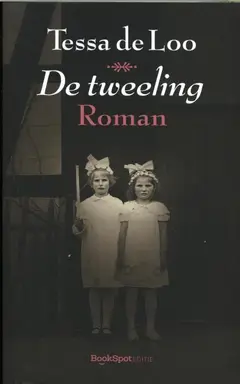 Omslag van De tweeling