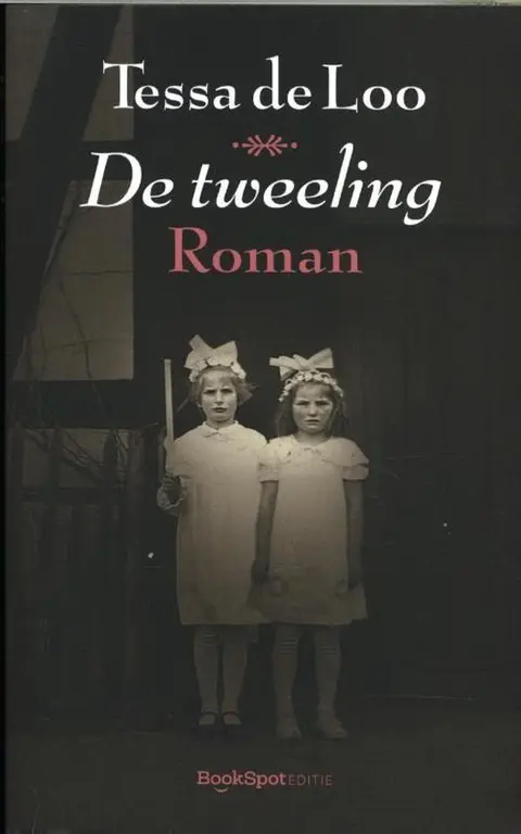 Omslag van De tweeling