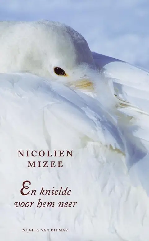 Omslag van En knielde voor hem neer