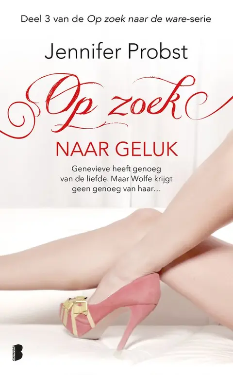 Omslag van Op zoek naar geluk