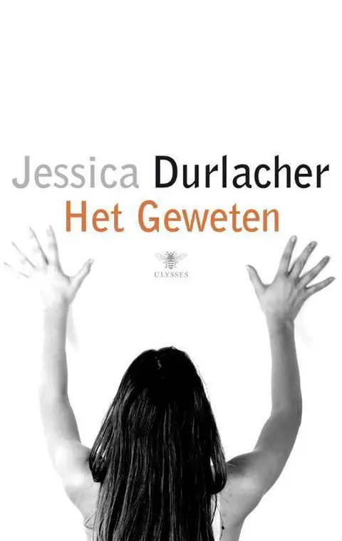 Omslag van Het geweten