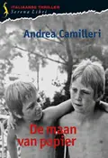 Omslag van De maan van papier