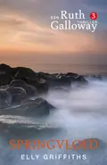 Omslag van Springvloed