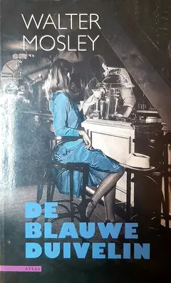 Omslag van De blauwe duivelin