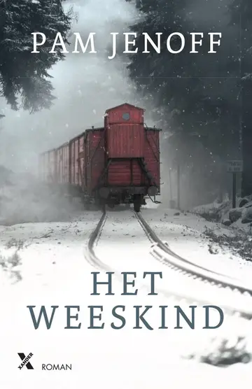 Omslag van Het weeskind