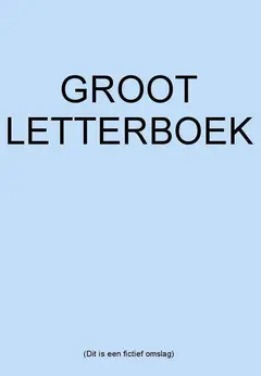 Omslag van Het stenen oordeel