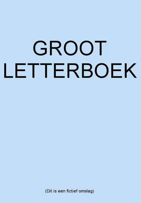 Omslag van Het stenen oordeel