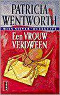 Omslag van Een vrouw verdween