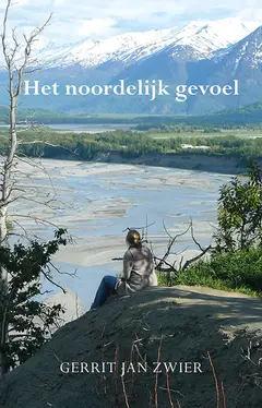 Omslag van Het noordelijk gevoel