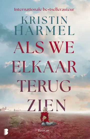 Omslag van Als we elkaar terugzien