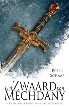 Omslag van Het zwaard van Mechdany