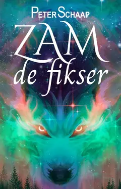 Omslag van Zam de fikser