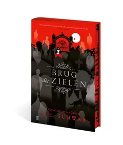 Omslag van Brug der zielen