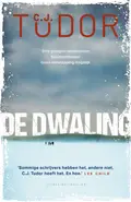 Omslag van De dwaling
