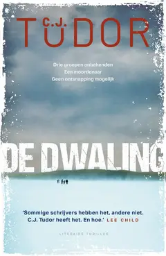 Omslag van De dwaling