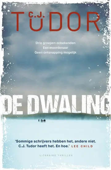 Omslag van De dwaling